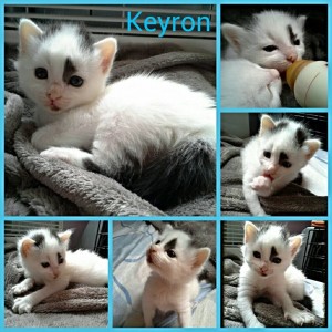 KEYRON